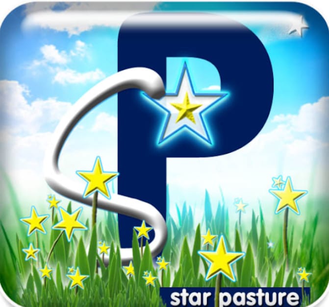 Pest & Termites Control by Andre